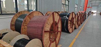 Shandong Jinyu Cable Co., Ltd. ligne de production du fabricant